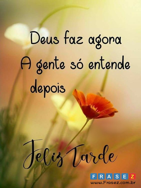 Feliz tarde