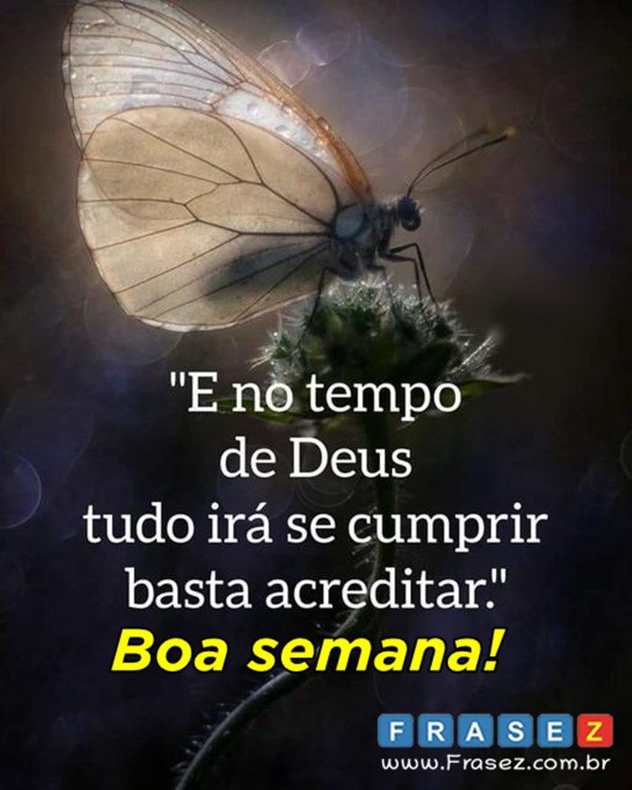 Frases de boa semana