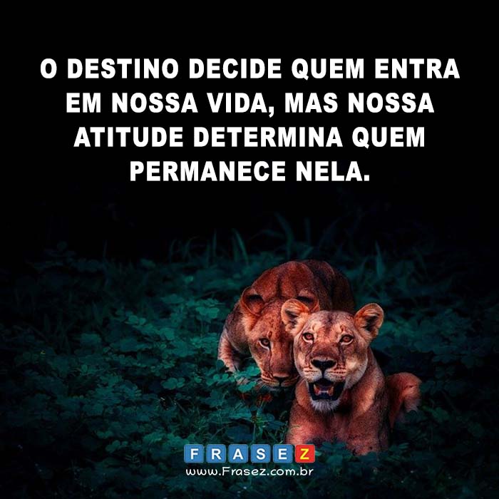 O destino decide quem entra em nossa vida, mas nossa atitude determina quem permanece nela.
